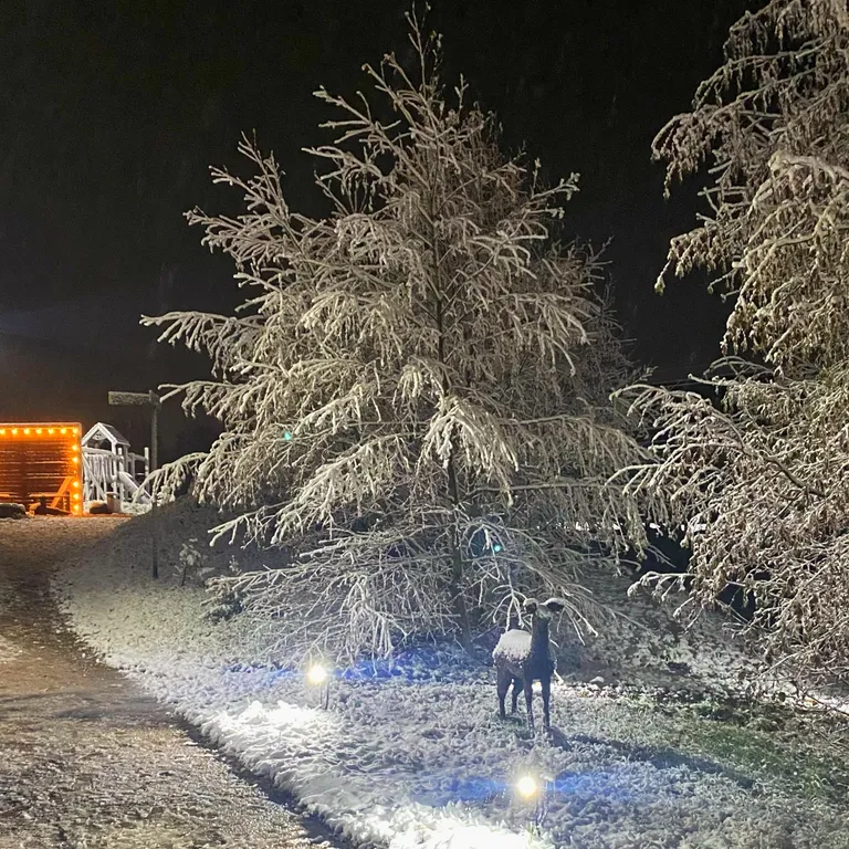 Дом с камином на берегу ручья