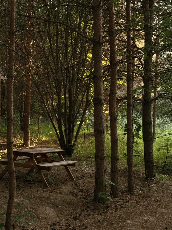 Коттедж Уютный дом в глубине соснового леса — Верхний Услон