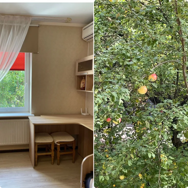 Квартира Уютная квартира в центре города — Калининград