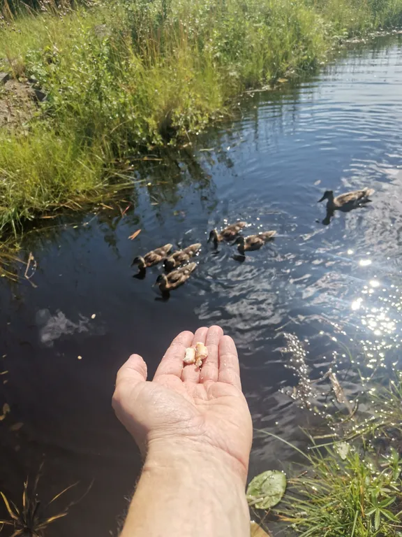 Уютный дом у реки с сауной и купелью