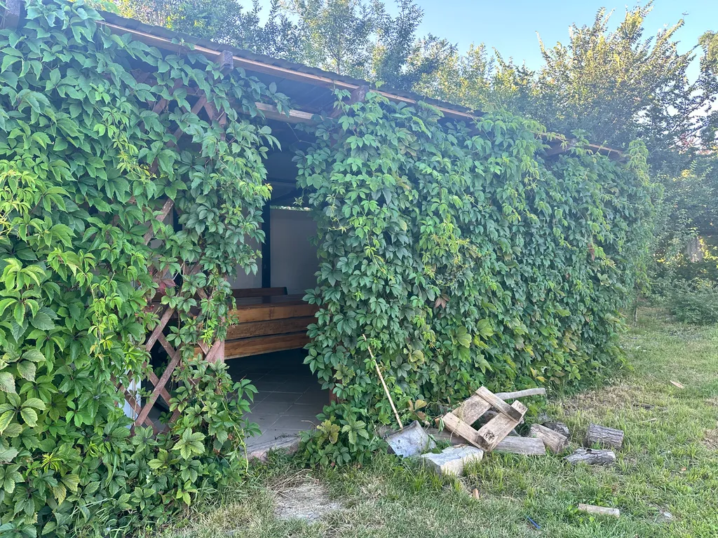 Квартира Комната — Южная Озереевка