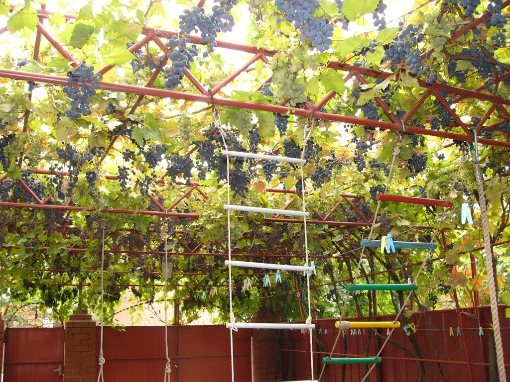 Азовские встречи