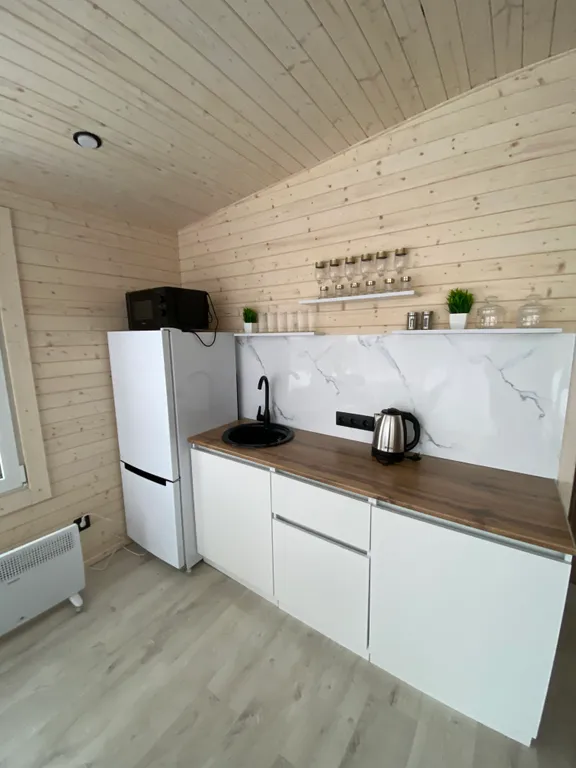 Эко дом в стиле Барн-хаус