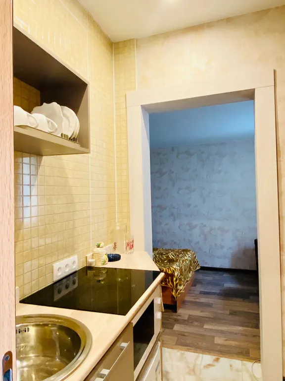 Студия в частном доме