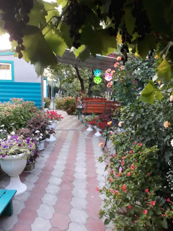 Коттедж Небольшой летний домик — Ейск