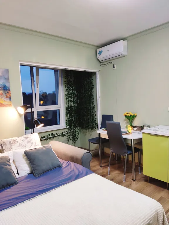 Уютная студия в ЖК Государев дом