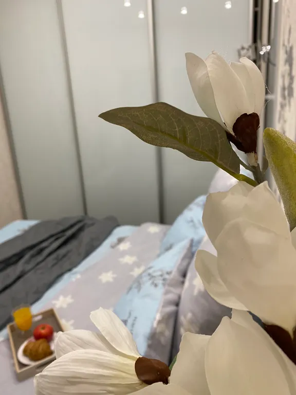 Уютная 2-комнатная квартира с дом кинотеатром и романтическим балконом