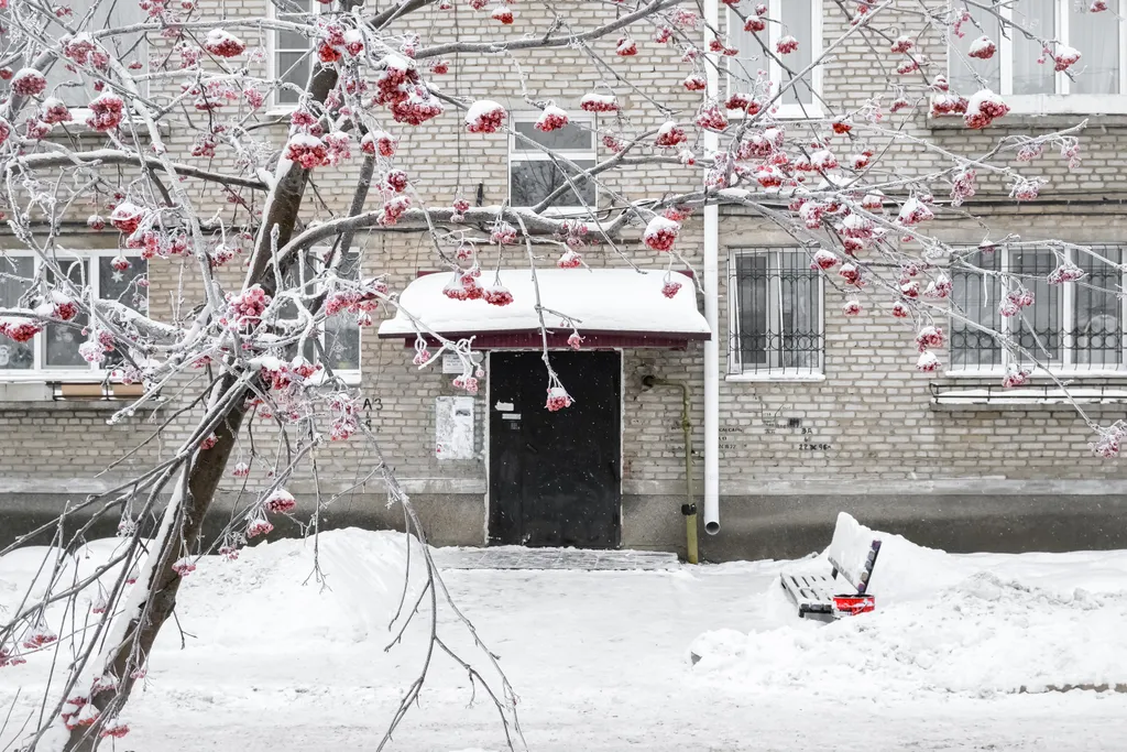 Уютная студия возле серебряного берега