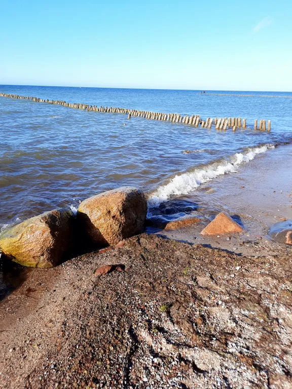 Квартира Уютная просторная квартира в тихом месте — Светлогорск