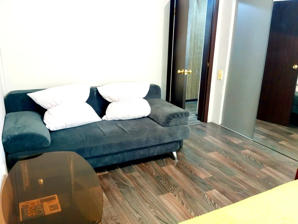 Уютная большая квартира с большой кухней