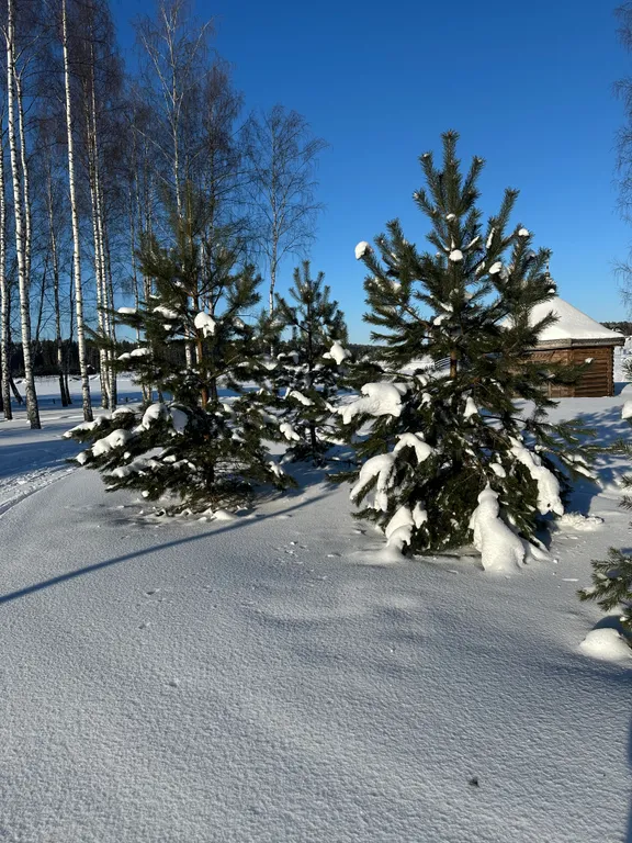 Коттедж в стиле шале в коприно