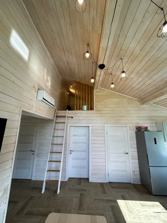 Дача у Цапли