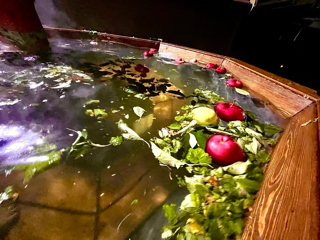 Новый уютный дом с сауной и банным чаном