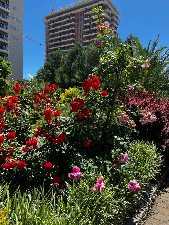 Элитный комплекс Дрим Лэнд Oasis на побережье Грузии