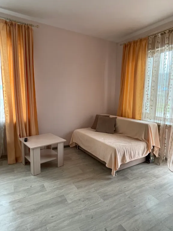 1-комнатная квартира с видом на действующий вулкан