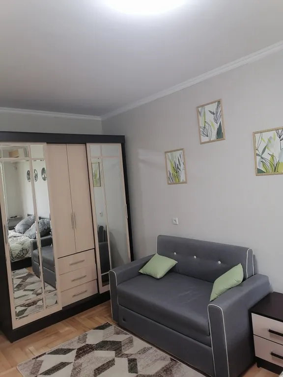 Уютная однокомнатная квартира в центре города