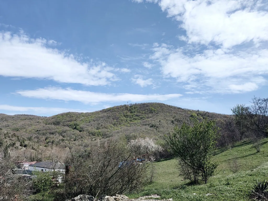 Коттедж Деревянный дом Прасковья — Прасковеевка