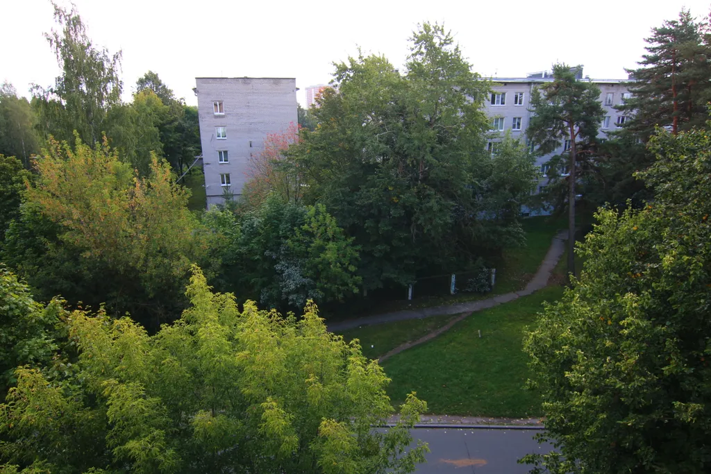 Квартира люкс в зелёном районе