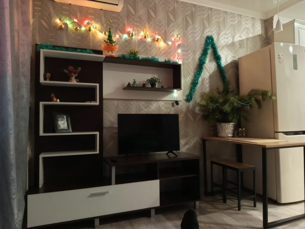 Современная квартира в центре города судобствами