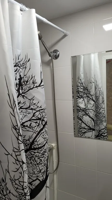 Студия в центре