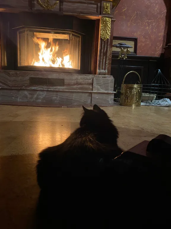 Профессорская дача