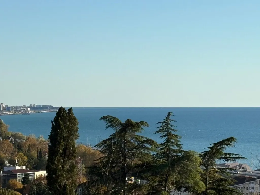 Квартира Апартамент с панорамными окнами с видом на море, горы и лес в Хосте — аренда посуточно в Хоста