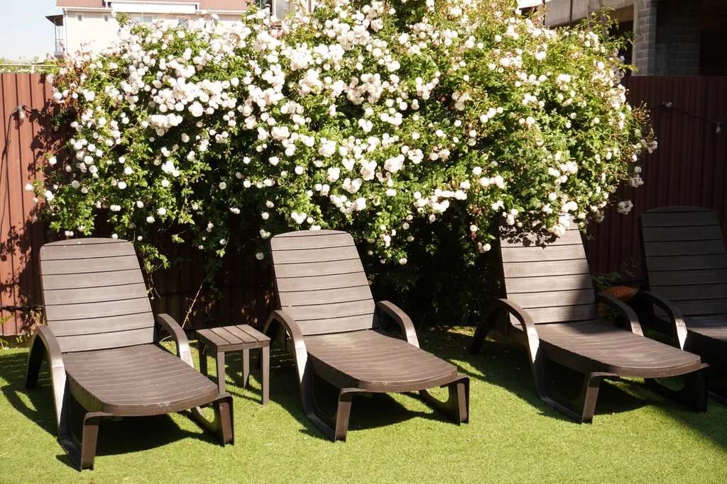 Квартира Комната — Сириус