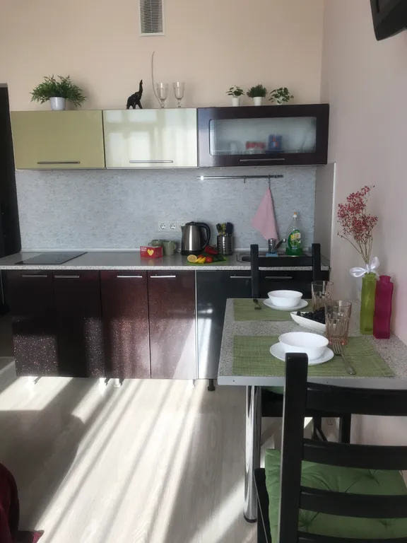 ЖД Вокзал,Метро5-7минут,ЦЕНТР,АвисМед,ЗООПАРК,Клиника глазная Федорова