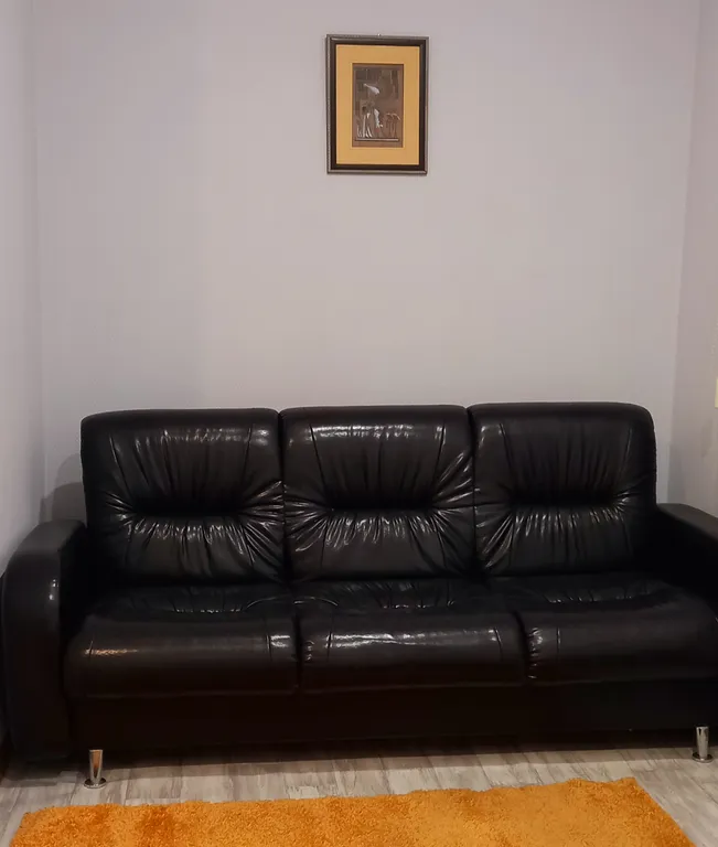 Комната с кухней-гостиной и сауной