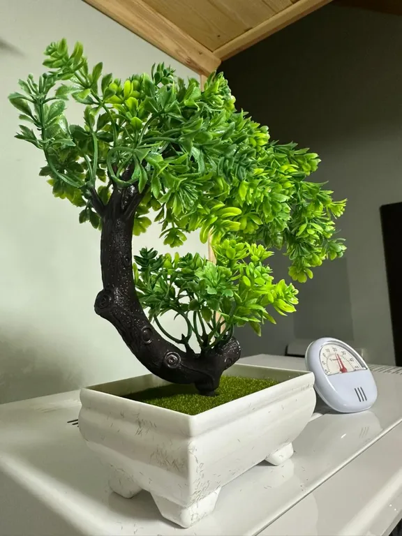 Апартаменты в частном доме в Щелковском районе МО