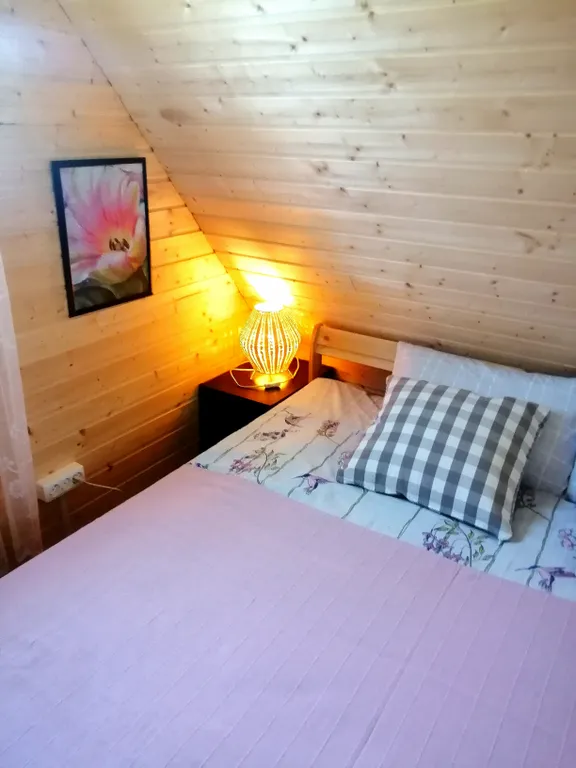 Коттедж Экодомик у реки — Сясьстрой