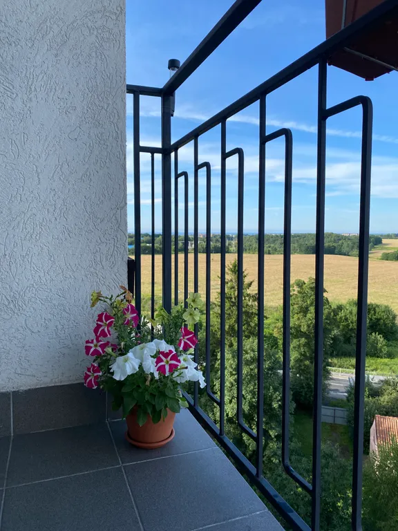 Квартира Уютная квартира с красивым видом — Светлогорск