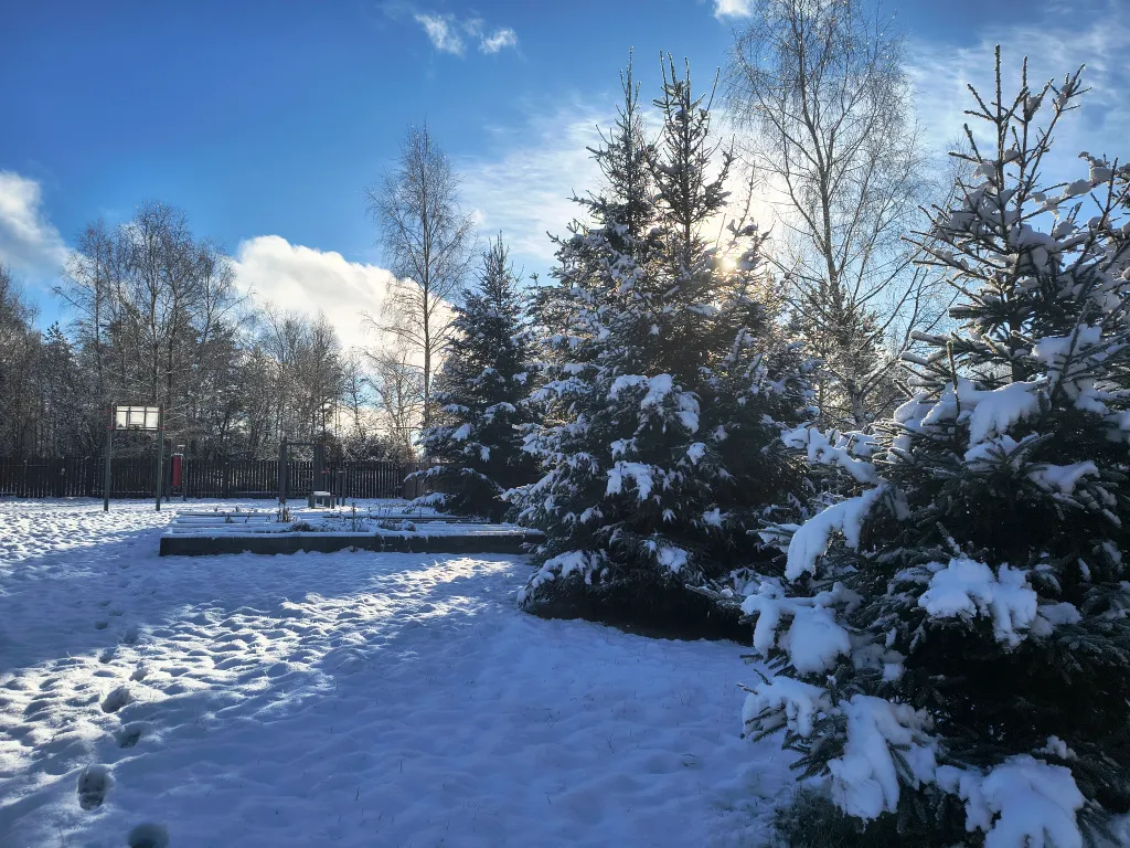 Русская усадьба с баней со швейцарским флёром