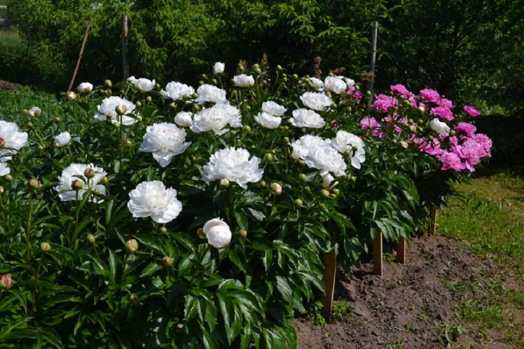 Гостевой дом