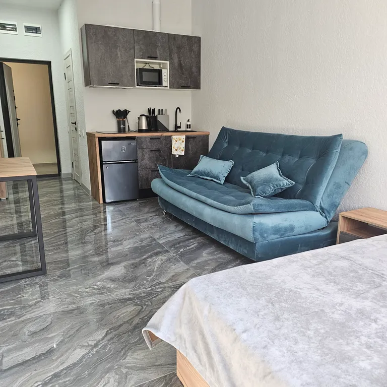 Апартаменты-студия c кухней 43