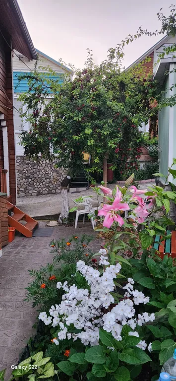 Для тихого семейного отдыха