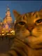 Артём