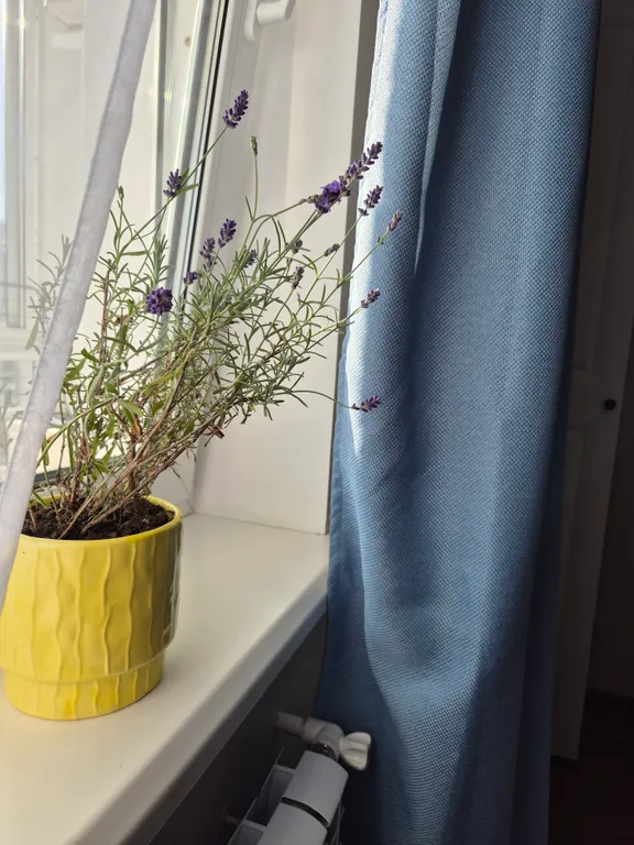 Не квартира, а сказка