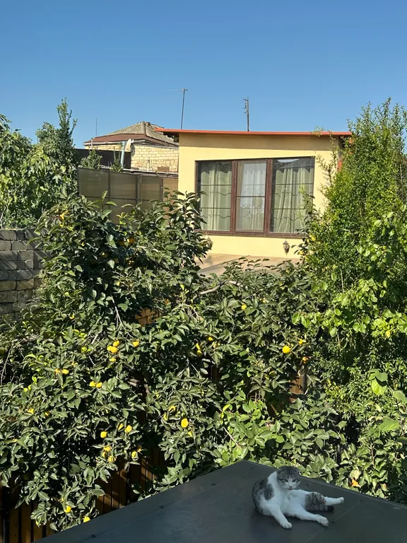 Коттедж Добрый домик Роуз — Дербент