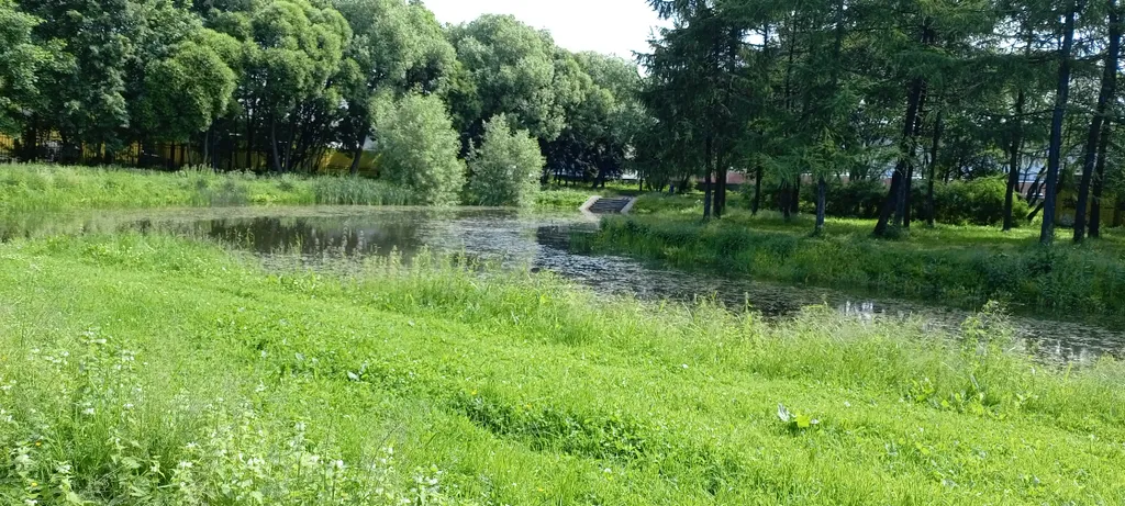 Комната у метро Нарвская