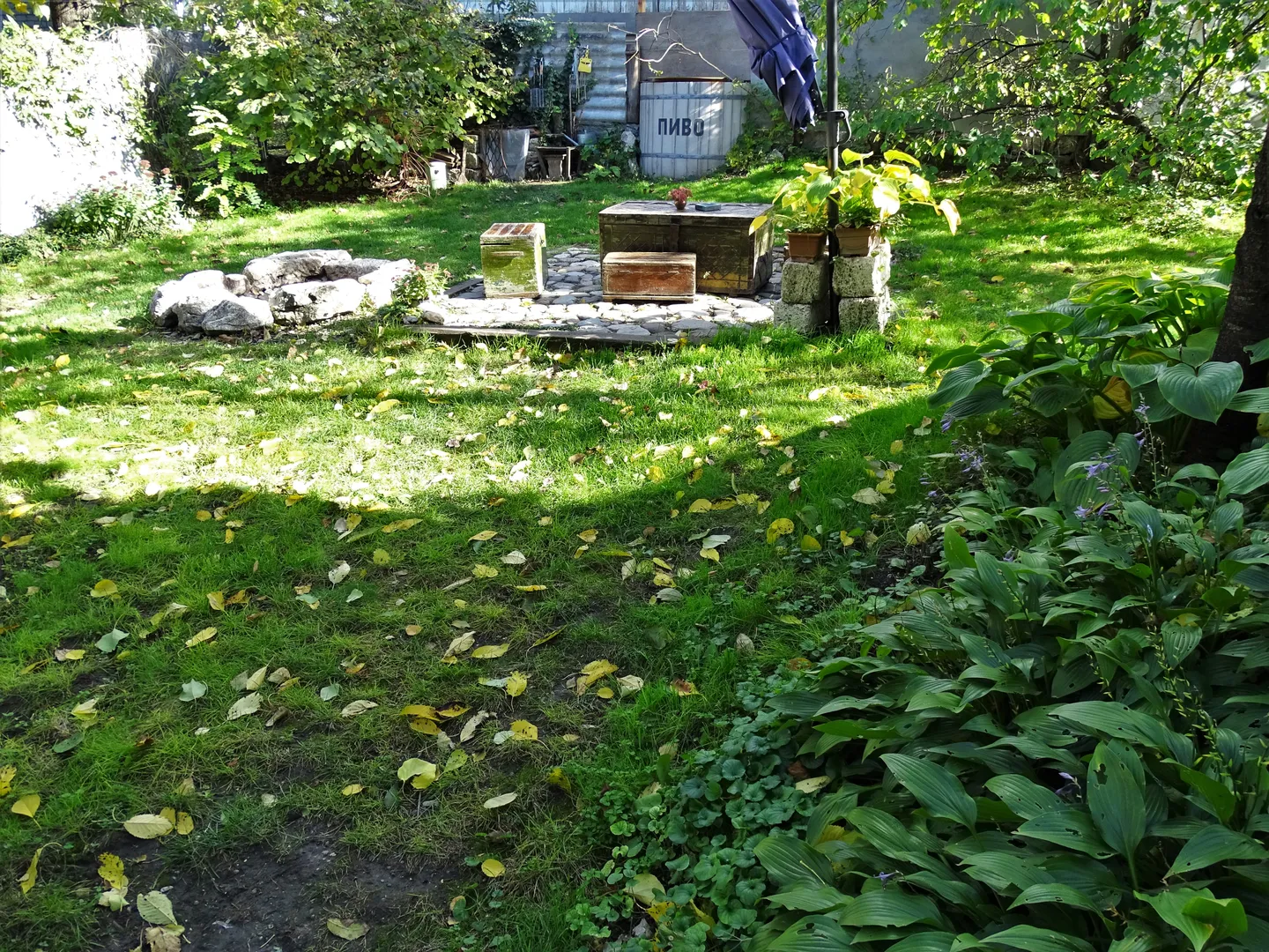 Задний двор с мангальной зоной, костровищем и колодцем