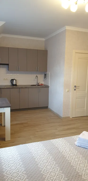 Уютная студия в центре города