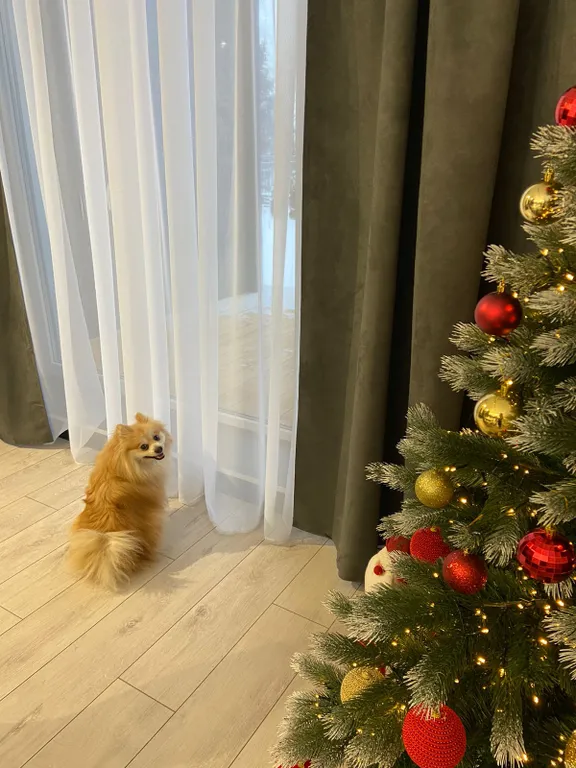 Уютный гостевой дом