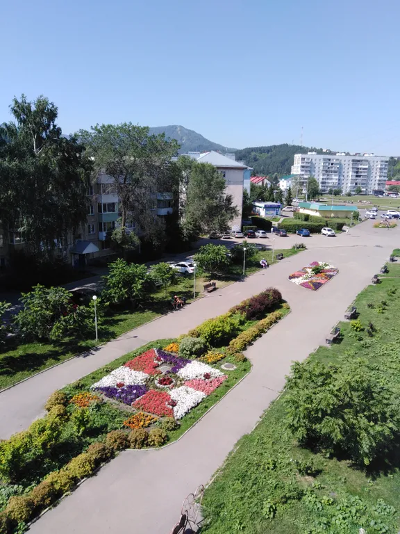 Квартира Рыжий кот, однокомнатная квартира — Белокуриха