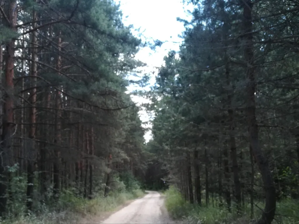 Коттедж Коттедж Теремок со всеми удобствами — Нижний Новгород