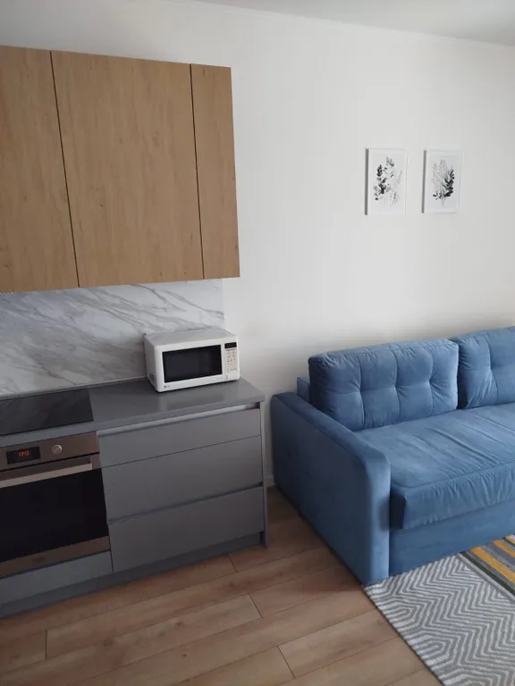 Уютная студия в новом микрорайоне Новая Боровая