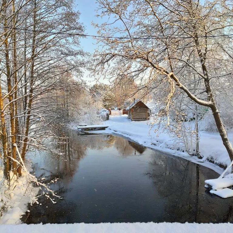 Коттедж Дом с террасой прямо на берегу реки — Торфяное