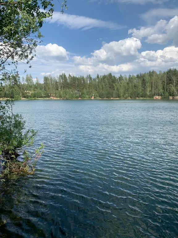 Уютный дом у леса и озера