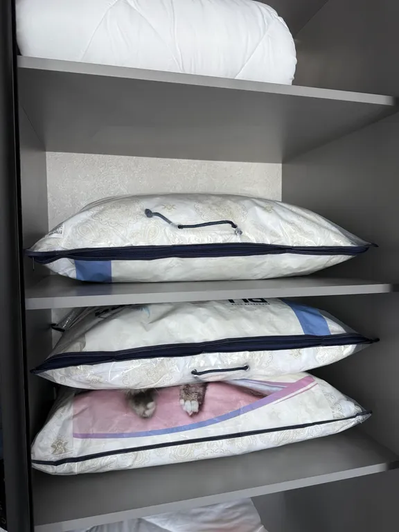 Уютная квартира и горы