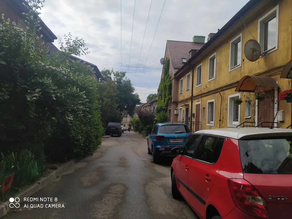 Прусский Кот  (в историческом районе Ratshof на границе с Amalienau)